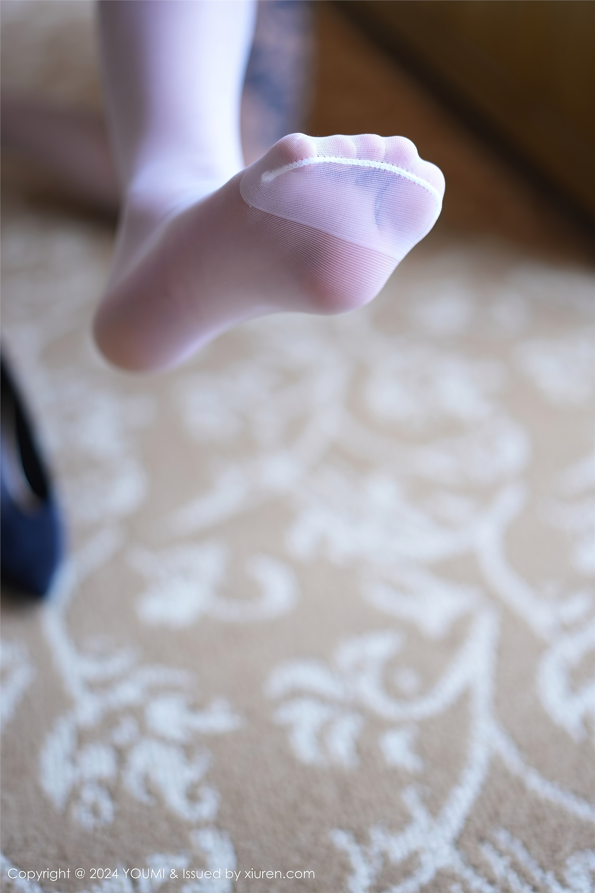 YouMi尤蜜荟 2024.05.27 VOL.1068 赵可欣baby